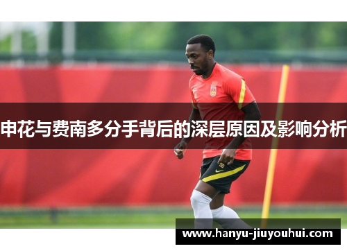 申花与费南多分手背后的深层原因及影响分析