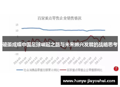 破茧成蝶中国足球崛起之路与未来振兴发展的战略思考