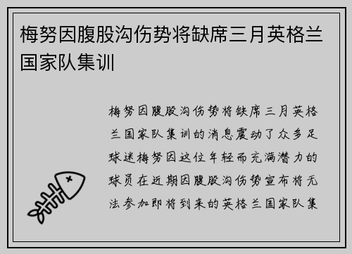梅努因腹股沟伤势将缺席三月英格兰国家队集训